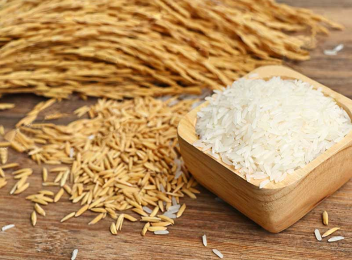 TOP 10 Nước Xuất Khẩu Gạo Lớn Nhất Thế Giới 2023