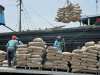 Top 5 Loại Xi Măng Được Ưa Chuộng Tại Việt Nam