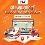 Flyexpress – Chuyển Phát Quốc Tế Uy Tín: Cầu Nối Yêu Thương, Đưa Hàng Hóa Vượt Khắp Châu Lục