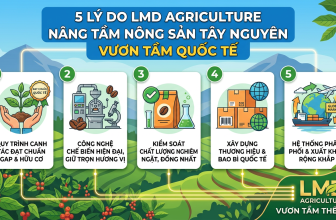 5 Lý Do LMD Agriculture Nâng Tầm Nông Sản Tây Nguyên Vươn Tầm Quốc Tế