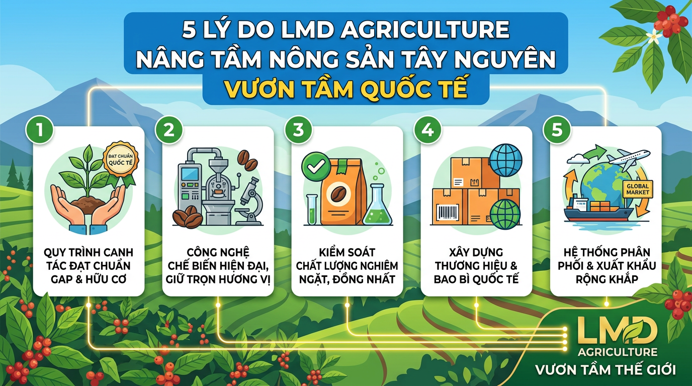 5 Lý Do LMD Agriculture Nâng Tầm Nông Sản Tây Nguyên Vươn Tầm Quốc Tế