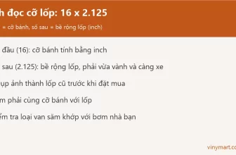 Đồ họa cách đọc cỡ lốp xe đạp trẻ em