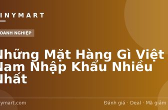 Những Mặt Hàng Gì Việt Nam Nhập Khẩu Nhiều Nhất