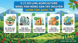 5 Lý Do LMD Agriculture Nâng Tầm Nông Sản Tây Nguyên Vươn Tầm Quốc Tế