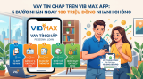 Vay Tín Chấp Trên VIB Max App: 5 Bước Nhận Ngay 100 Triệu Đồng Nhanh Chóng