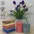 Khăn mặt cotton cao cấp, kích thước 30x50cm, trọng lượng 60g – Xưởng dệt Việt Nam