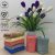 Khăn Mặt Cotton 30x50cm 60g – Mã 93115