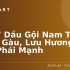 Top 7 Đôi Giày Chạy Bộ Tốt Nhất Hiện Nay