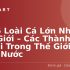 Top 5 Kem Trị Thâm Hiệu Quả – Giải Pháp Hoàn Hảo Cho Làn Da Sáng Mịn