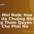 Top 5 Thành Phố Trực Thuộc Trung Ương – Những Trung Tâm Văn Hóa, Kinh Tế Hấp Dẫn