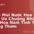 Top 5 Mùi Nước Hoa Nữ Được Ưa Chuộng Nhất – Hương Thơm Quyến Rũ Dành Cho Phái Nữ