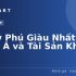 Top 7 Dầu Gội Nam Trị Sạch Gàu, Lưu Hương Lâu cho Phái Mạnh
