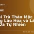 Top 5 Ứng Dụng Ngân Hàng Phổ Biến tại Việt Nam