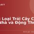 Top 5 Laptop Gaming Bền Nhất Hiện Nay