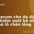 6 Mẹo Gội Đầu Giúp Tóc Sạch Sâu, Lâu Bết