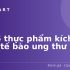 Top 4 Mẫu Ghế Công Thái Học Dưới 5 Triệu