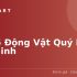 Top 5+ Laptop Tốt Nhất Cho Lập Trình Phần Mềm