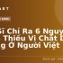 Top 5+ App Máy Tính Casio Trên Điện Thoại: Giải Pháp Tính Toán Hiện Đại Cho Mọi Nhà