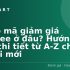 Shopee Giao Hàng Chậm: Nguyên Nhân, Giải Pháp và Cách Khắc Phục