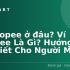 Cách Lấy Voucher Shopee: Hướng Dẫn Từ A đến Z