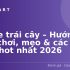 Sáp Wax Lông Nóng: Hướng Dẫn Chi Tiết & Review Hiệu Quả Nhất 2026