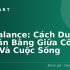 Mua Sắm Deal Là Gì? Bí Quyết Săn Deal Giá Rẻ, Tiết Kiệm Đến 70%