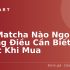 Son MLBB – Lựa Chọn Sắc Màu Hoàn Hảo Cho Mọi Phong Cách
