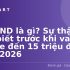 Moneyveo là gì? Có lừa đảo không? Review chi tiết 2026: 7 Sự thật cần biết trước khi vay online