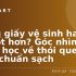 3 món chống lão hóa “thần thánh” giúp da trẻ mãi không già tôi tin dùng cả đời